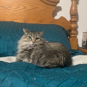 Meet your Posher, Denise